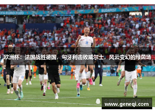 欧洲杯：法国战胜德国，匈牙利击败威尔士，风云变幻的绿茵场